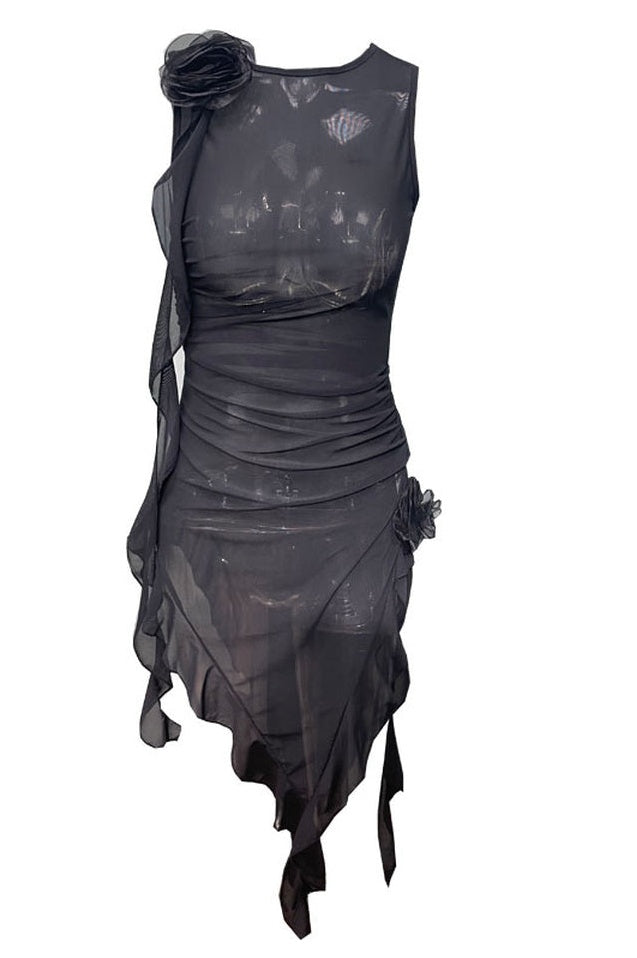 Robe Ruffle Rose Transparente